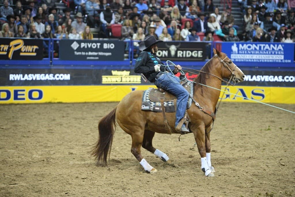 Champions' Team Roping Clinic in Heber: Buhler & Richard Teach Headers and Heelers photo 2