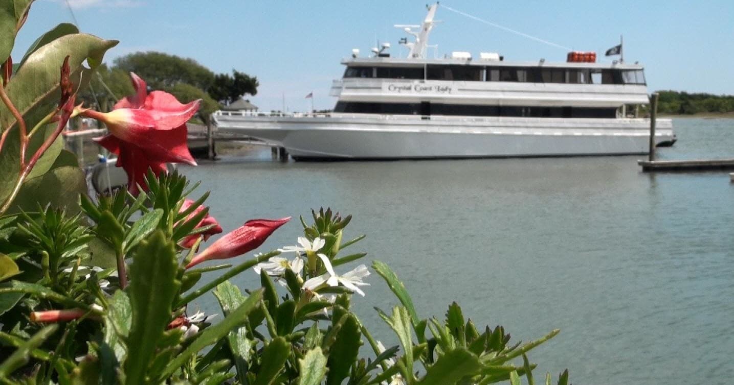 Scenic coastal ferry passing by flowering shoreline views