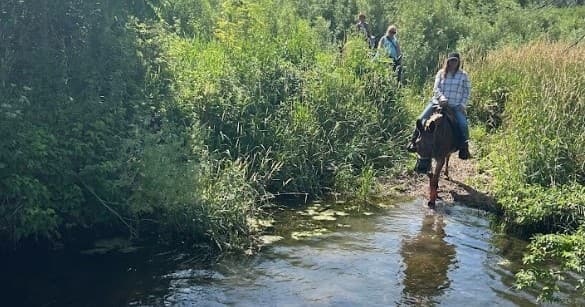 Equestrian crossing a shallow stream on a summer trail ride