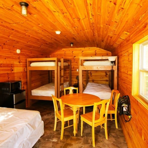 Off-Grid Comfort at Oak Cabin: Electric Cabin Stays Near Andover, NY photo 3