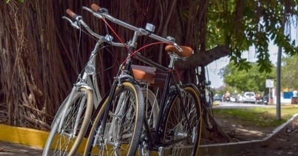 Land Adventures with Beach Bum Cozumel: Bicycle Rentals in Cozumel