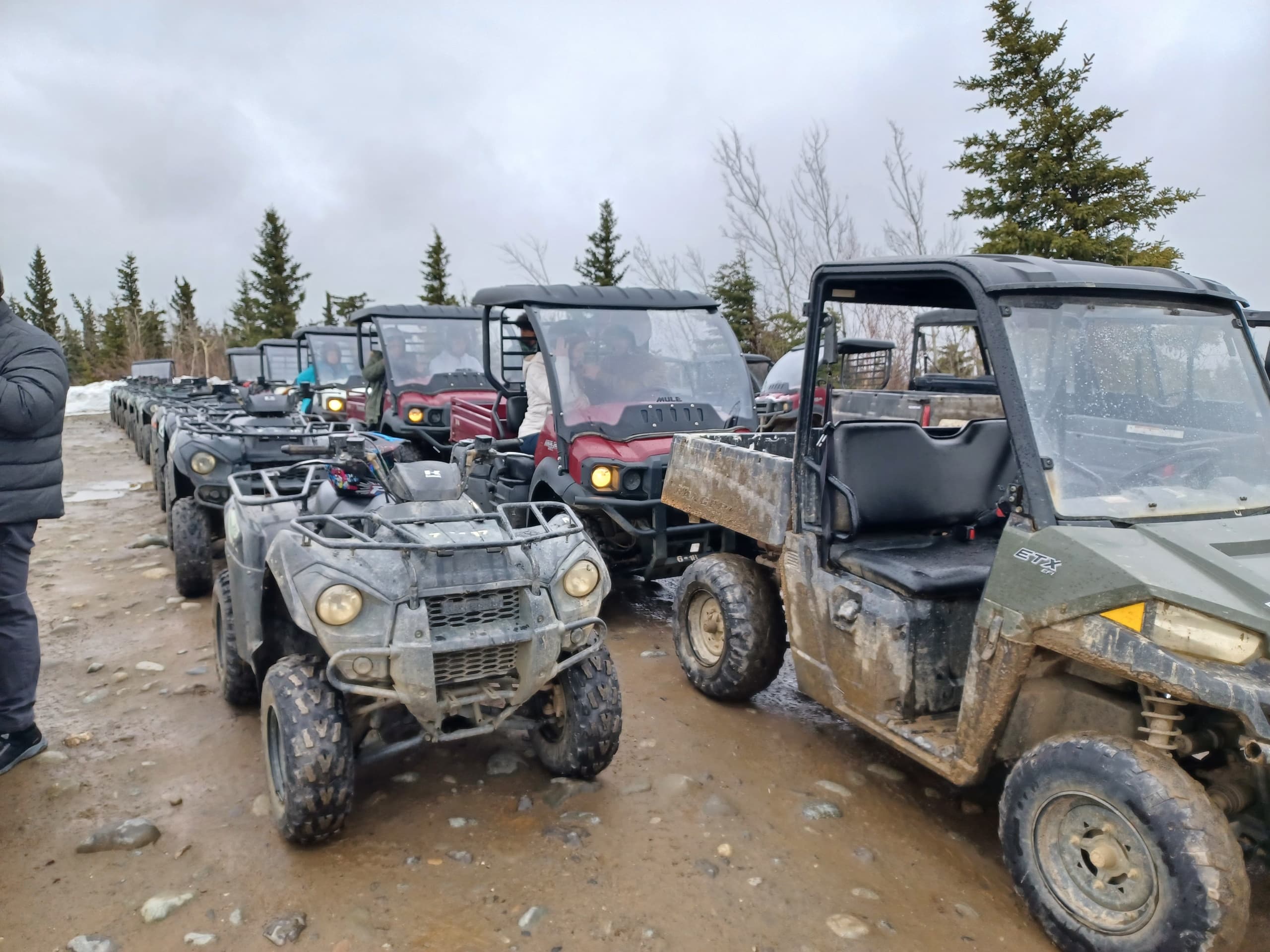 Denali Side by Side Adventure with Dinner in Juneau, Alaska