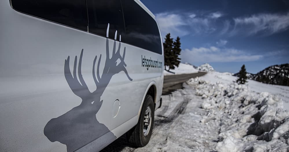 Tour van on snowy mountain road, wildlife-sightseeing shuttle experience