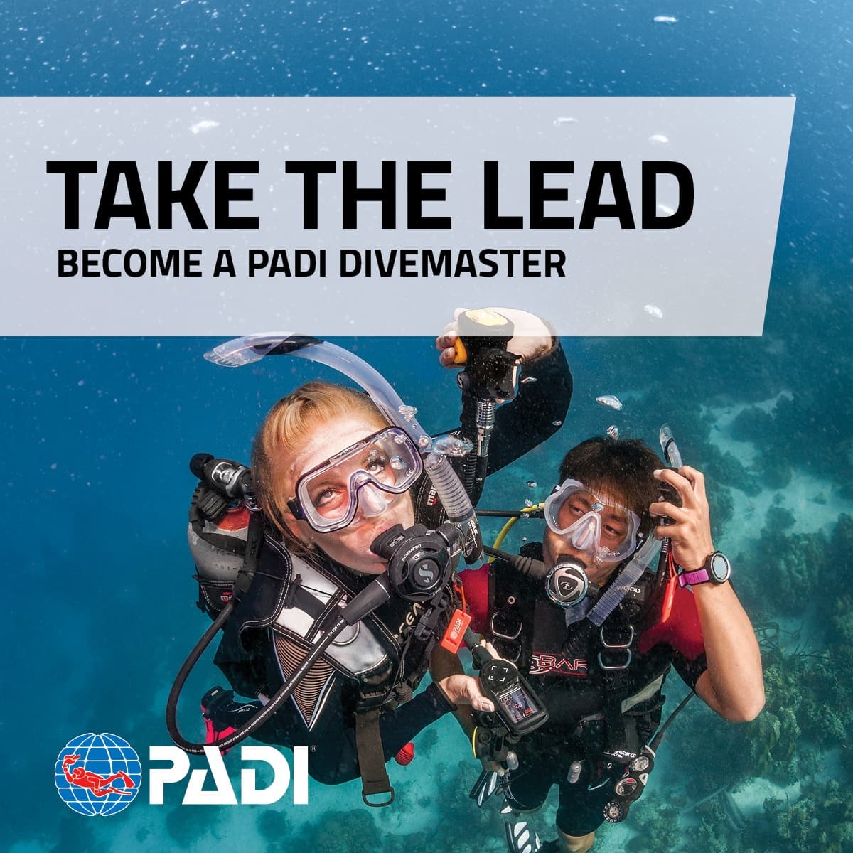 PADI Dive Master Training with Jervis Bay Sea Sports