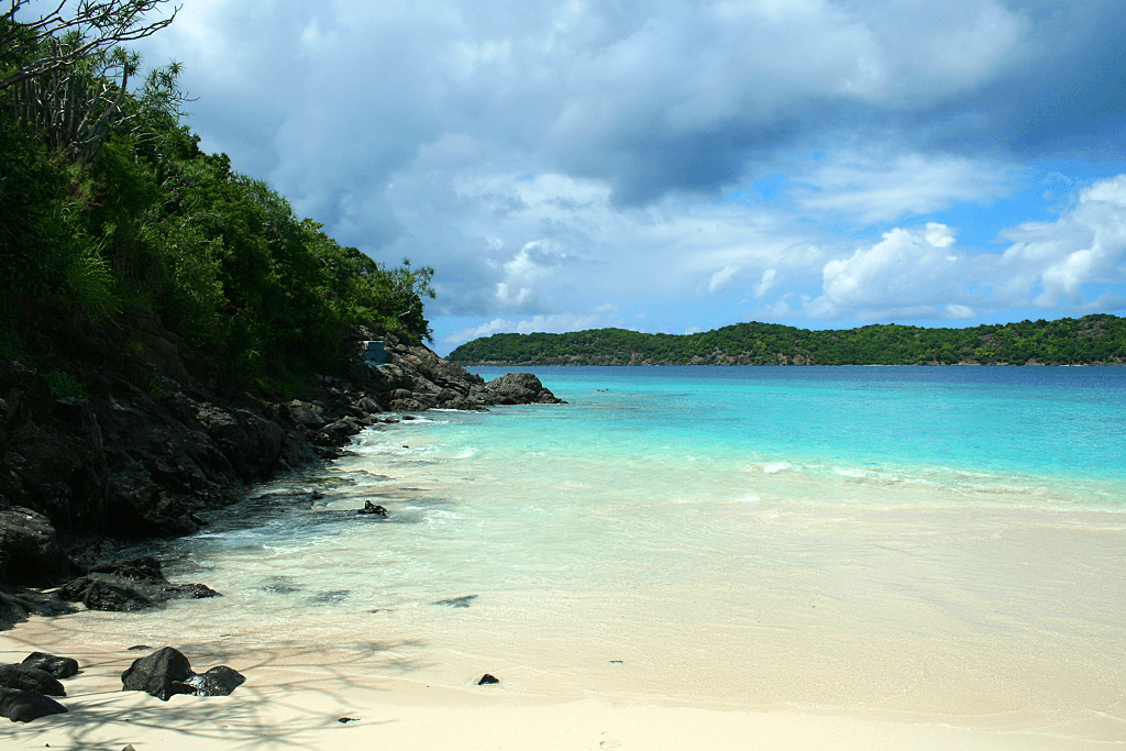 Round-Trip Tour to Coral World & Coki Beach, St. Thomas