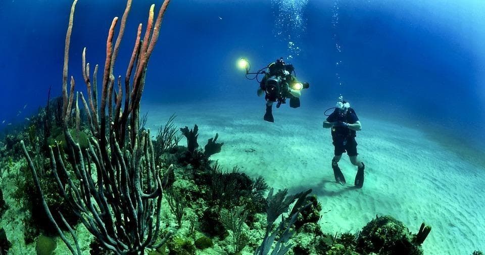 Private Wreck & Reef Dive with Finz Dive Charters in Key West