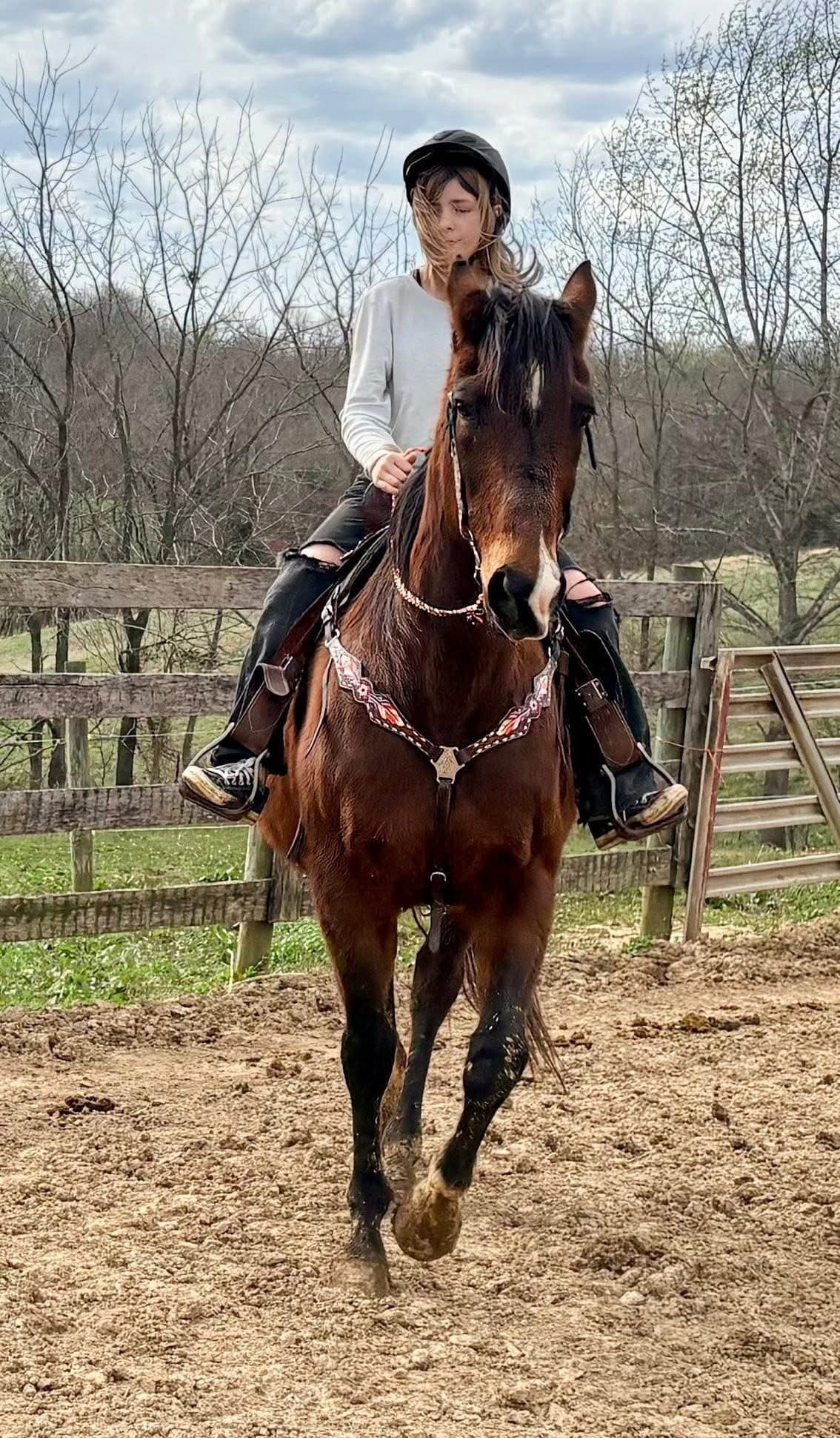Two-Hour Western Horsemanship Lessons in Park City, KY photo 4