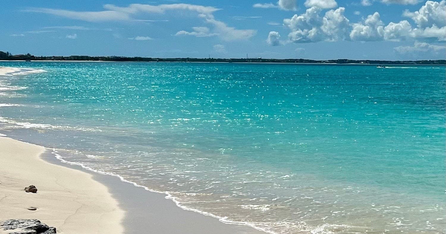Providenciales Quarter-Day Cruise to Iguana Island and Sand Bar photo 1