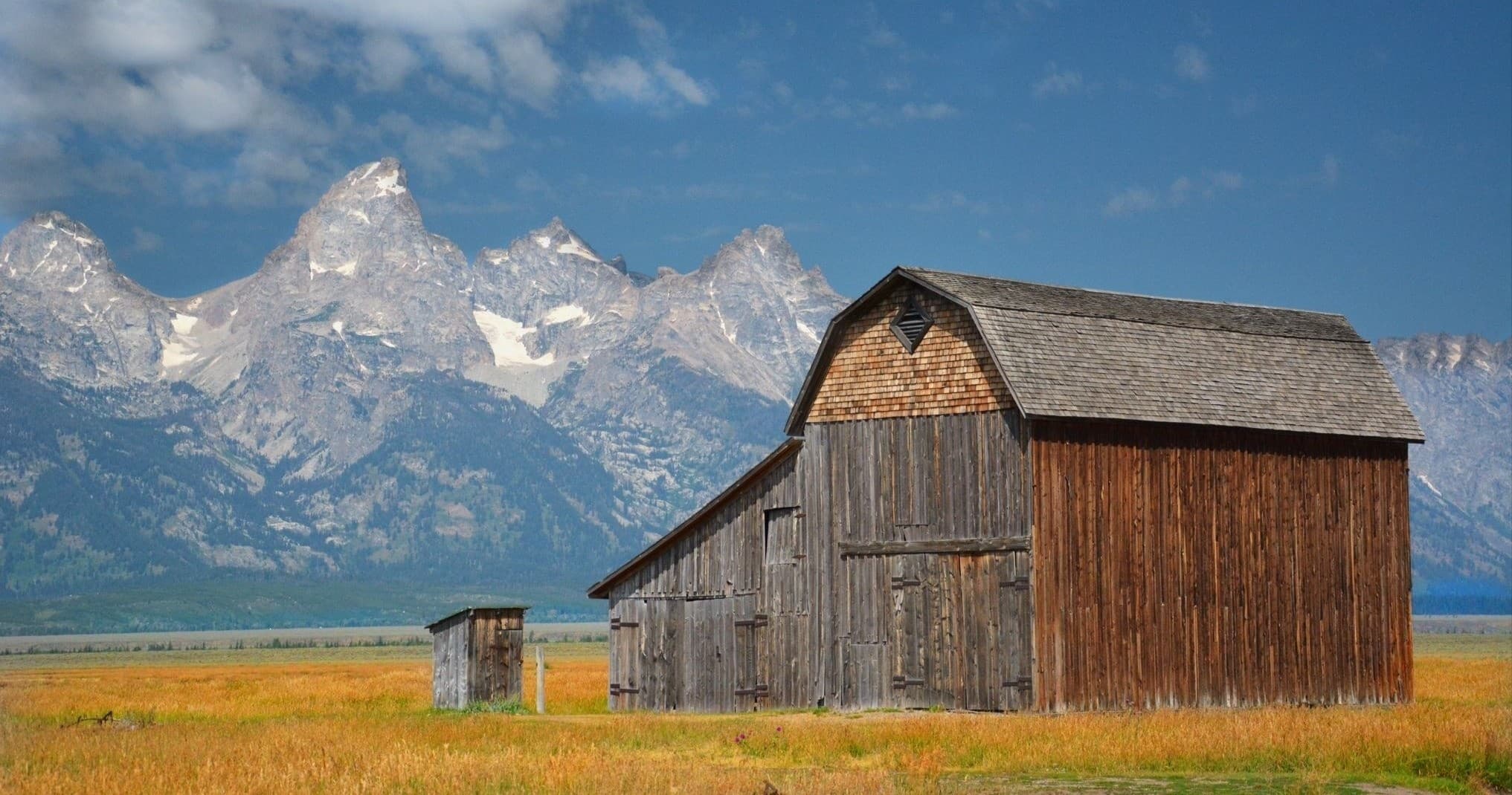 Wildlife & Native Histories with BrushBuck Wildlife Tours in Teton Village