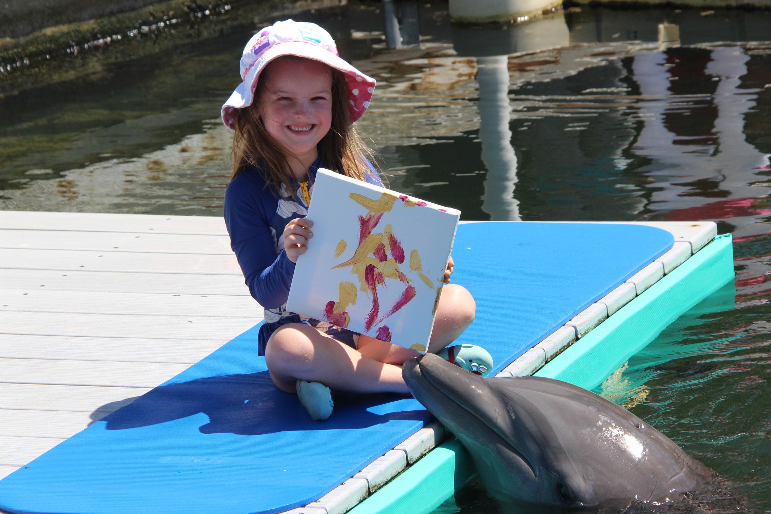 Child painting on dock greeted by dolphin at sunny marina encounter