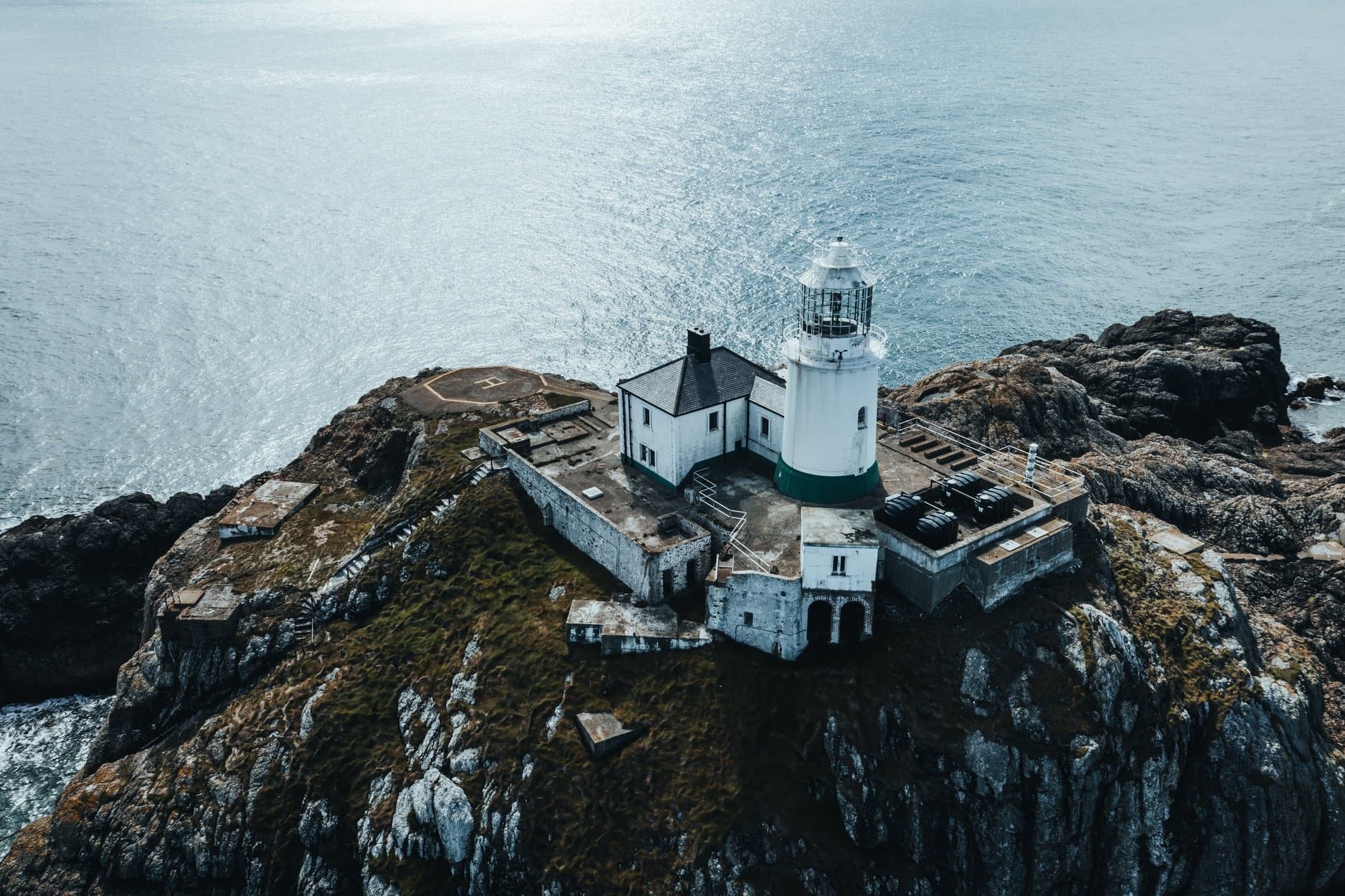 Wildlife Boat Tours with Voyages Of Discovery in West Wales