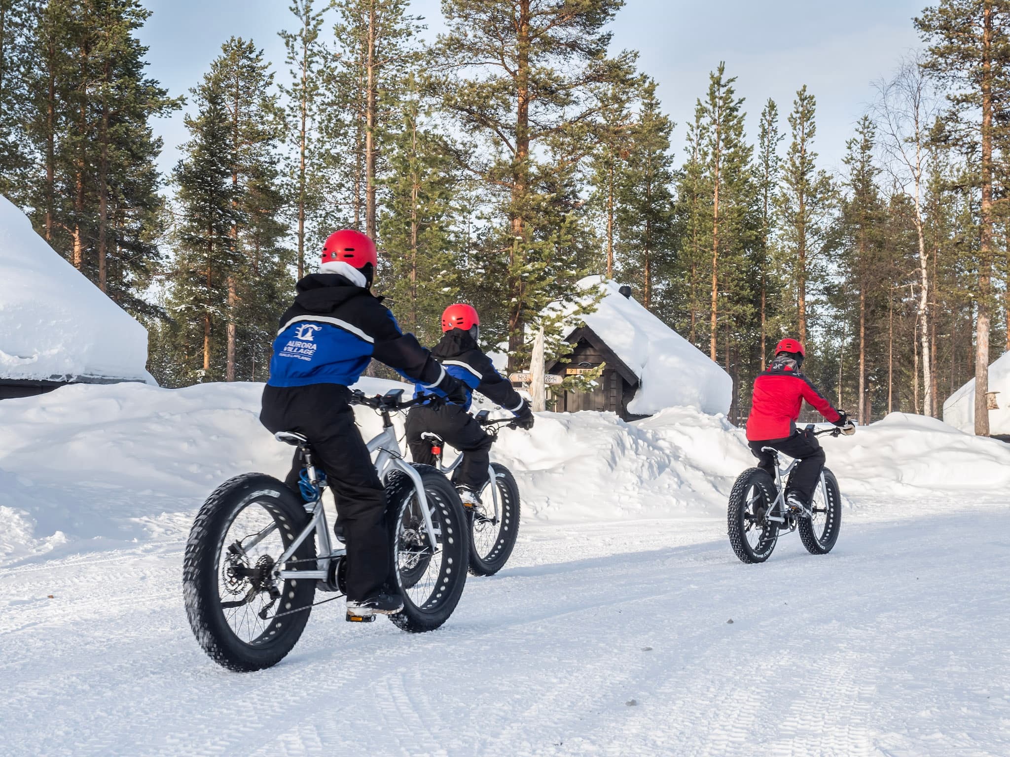 Fatbike Forest Trail Experience with Aurora Village Oy in Ivalo
