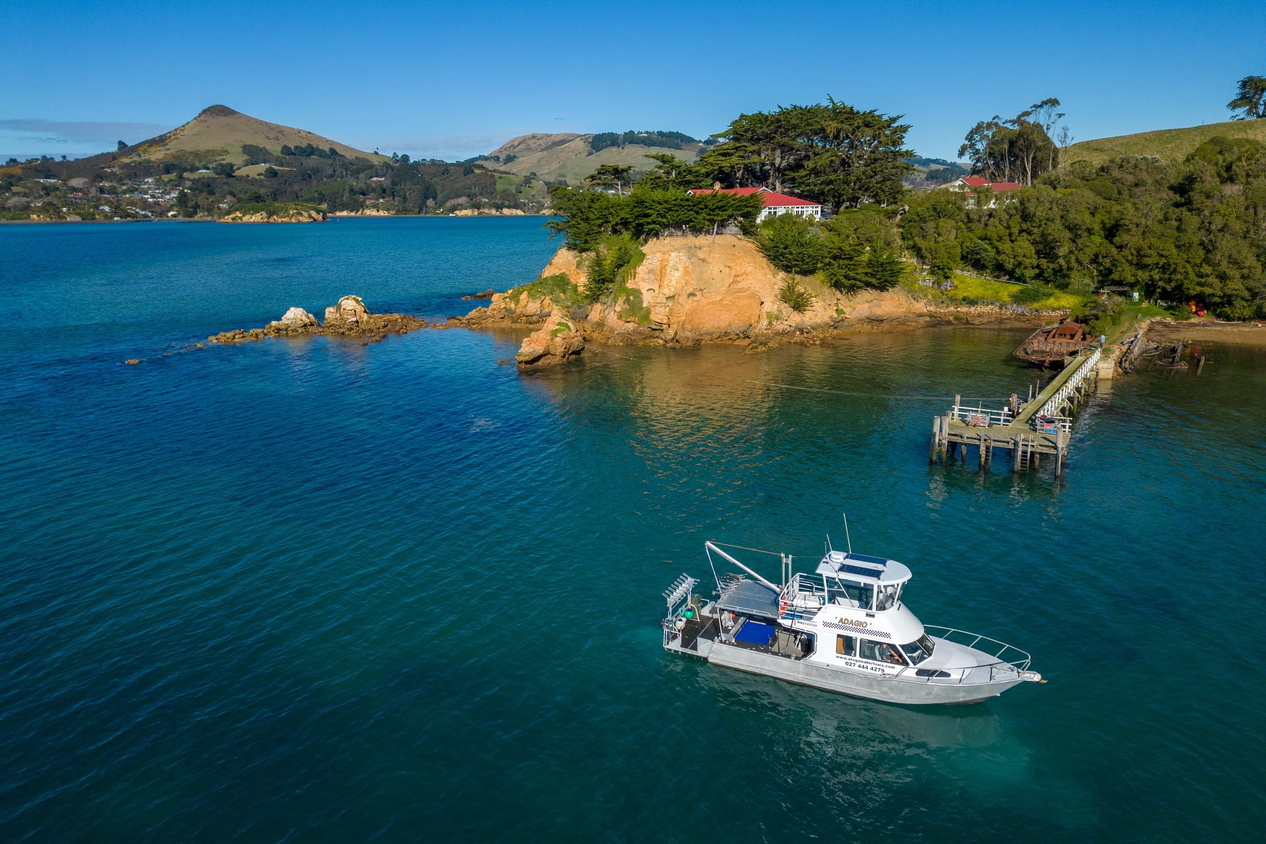 Private Charter Dunedin: Otago Peninsula Wildlife & Coastal Geology Cruise photo 3