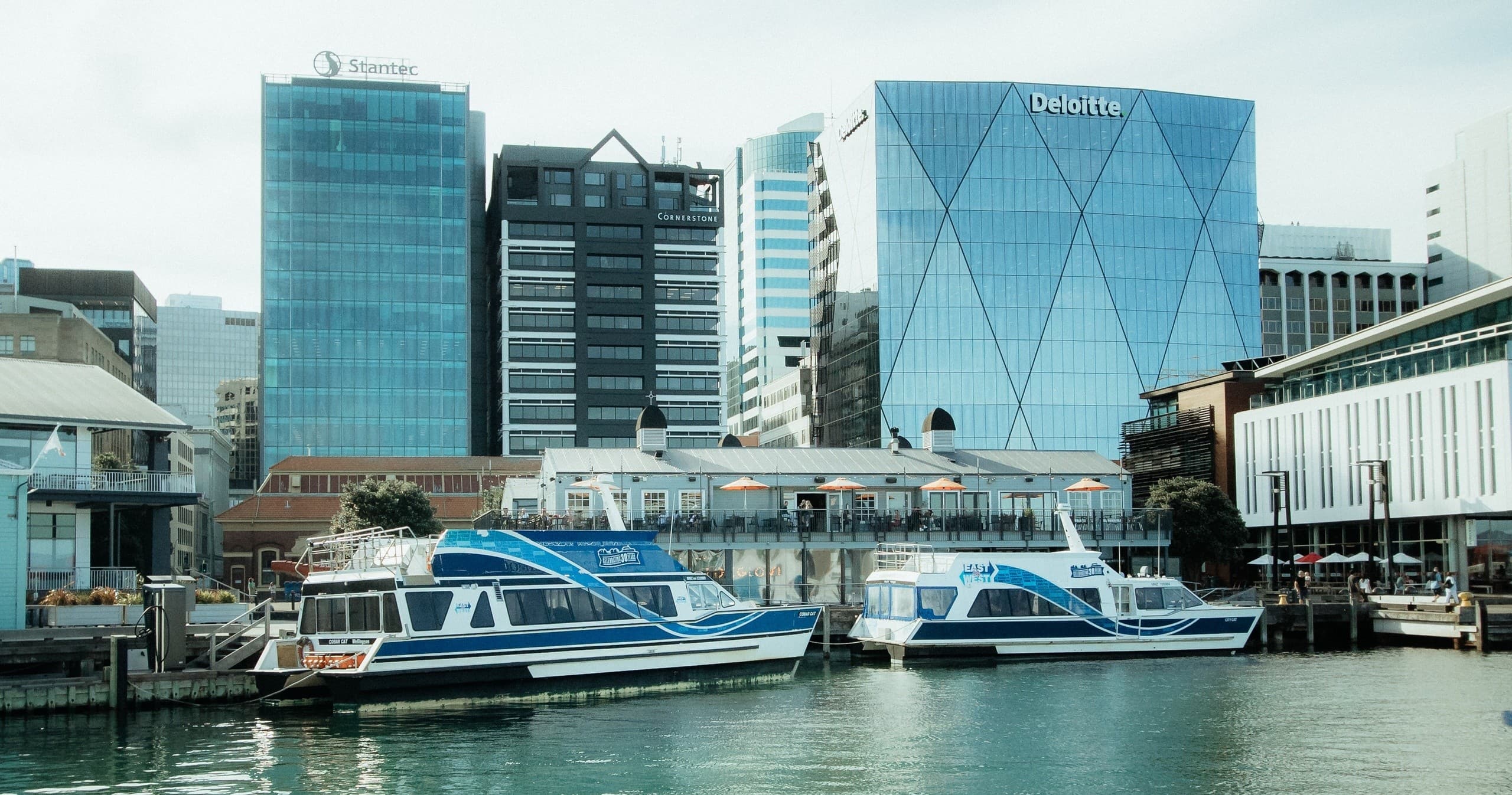 Water Activities: Mātiu/Somes Island Day Trips with East by West