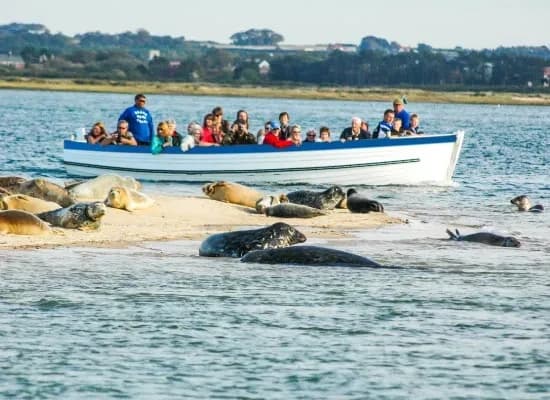 Private Sailing with John Bean Boat Trips in Holt, England