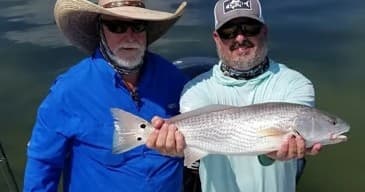 Inshore redfish catch with guide, anglers holding fish on flats