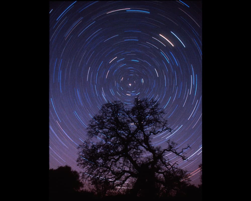 Sierra Stargazing Experience in Fish Camp, California