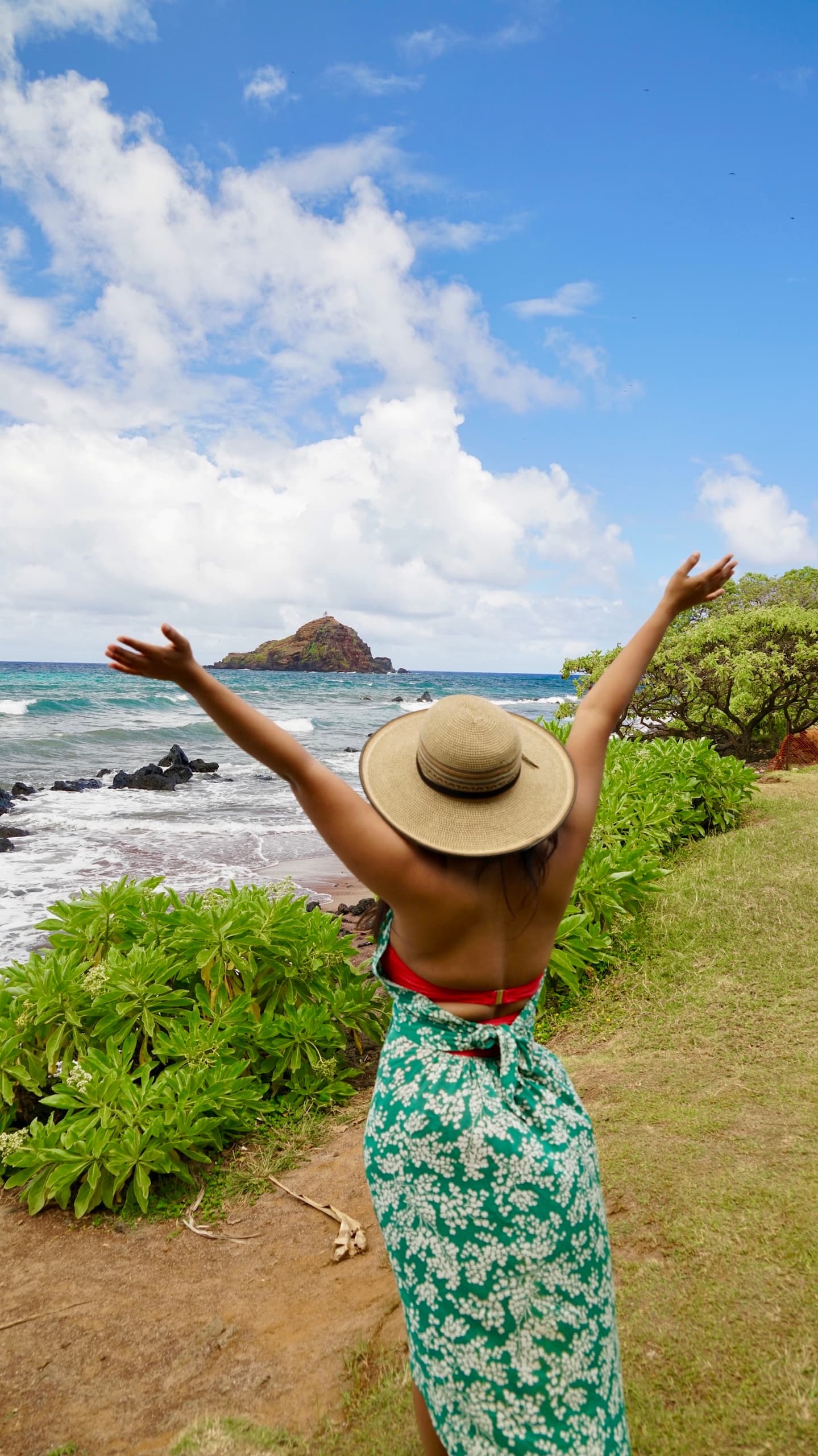 Experience Hawaii fleet