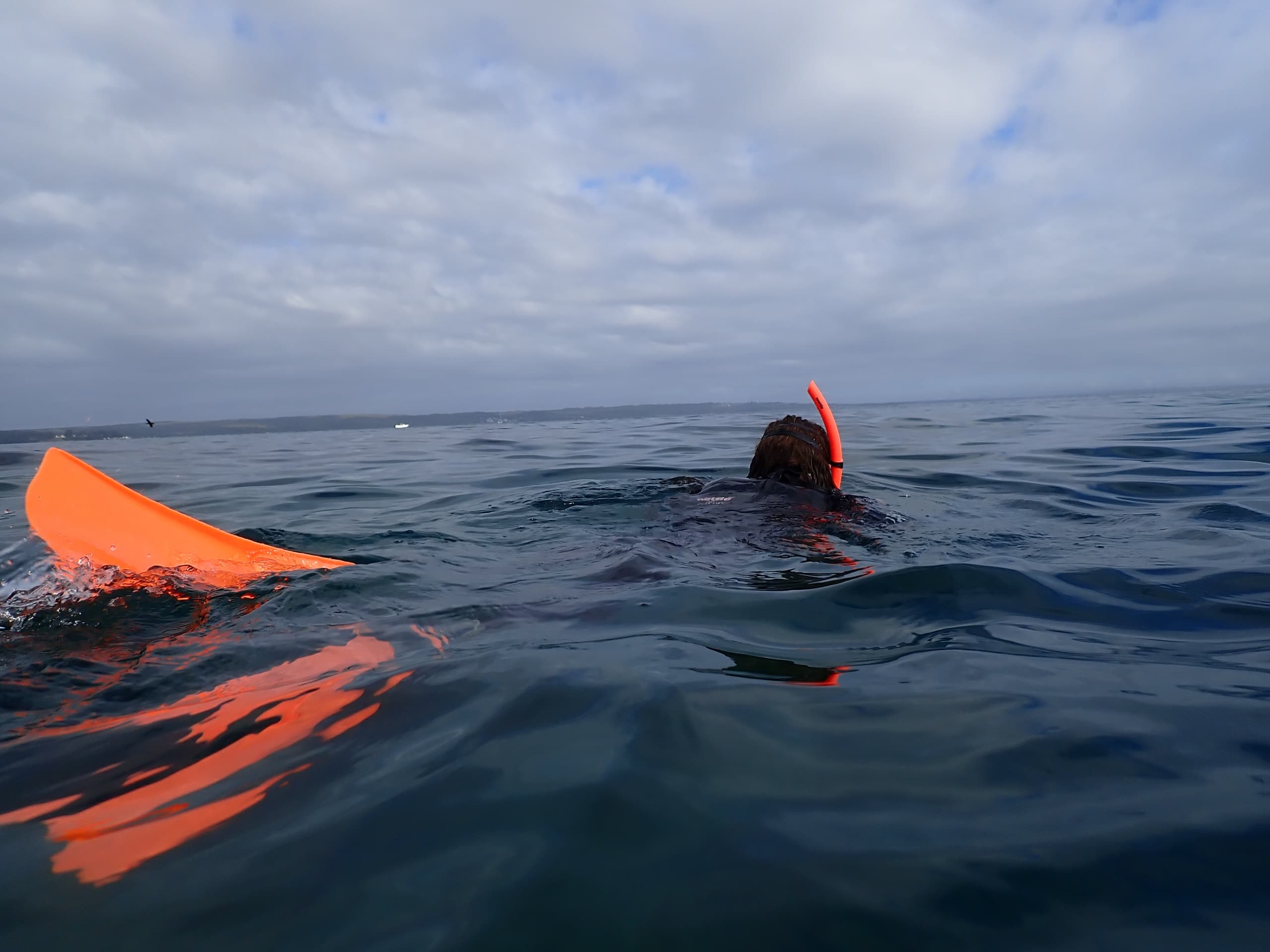 Jervis Bay Snorkel Gear Hire: Rent Wetsuits, Fins & Masks for South Coast Marine Adventures