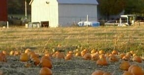 Nighttime Farm Adventure at Larriland Farm