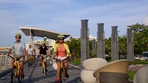 Rent the Bicycle team