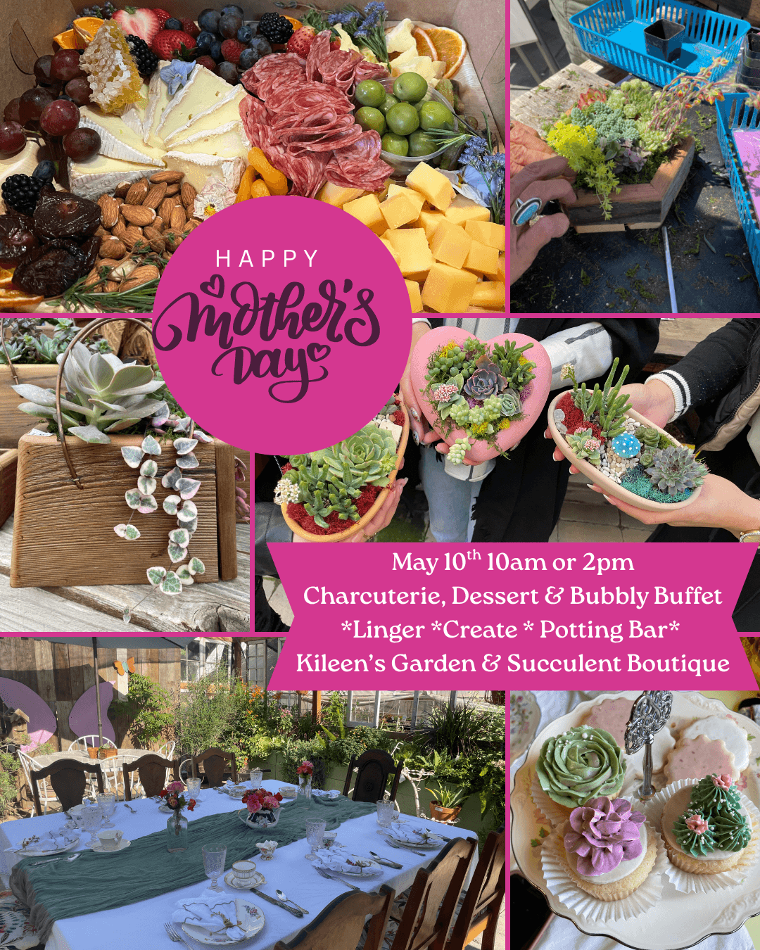 Mother's Day Potting Bar in Clovis: Succulent Workshop with Charcuterie & Bubbly photo 1