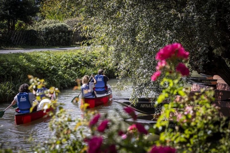 Paddle the Venise Verte: Self-Guided Kayak Rentals in Magné’s Marais Poitevin