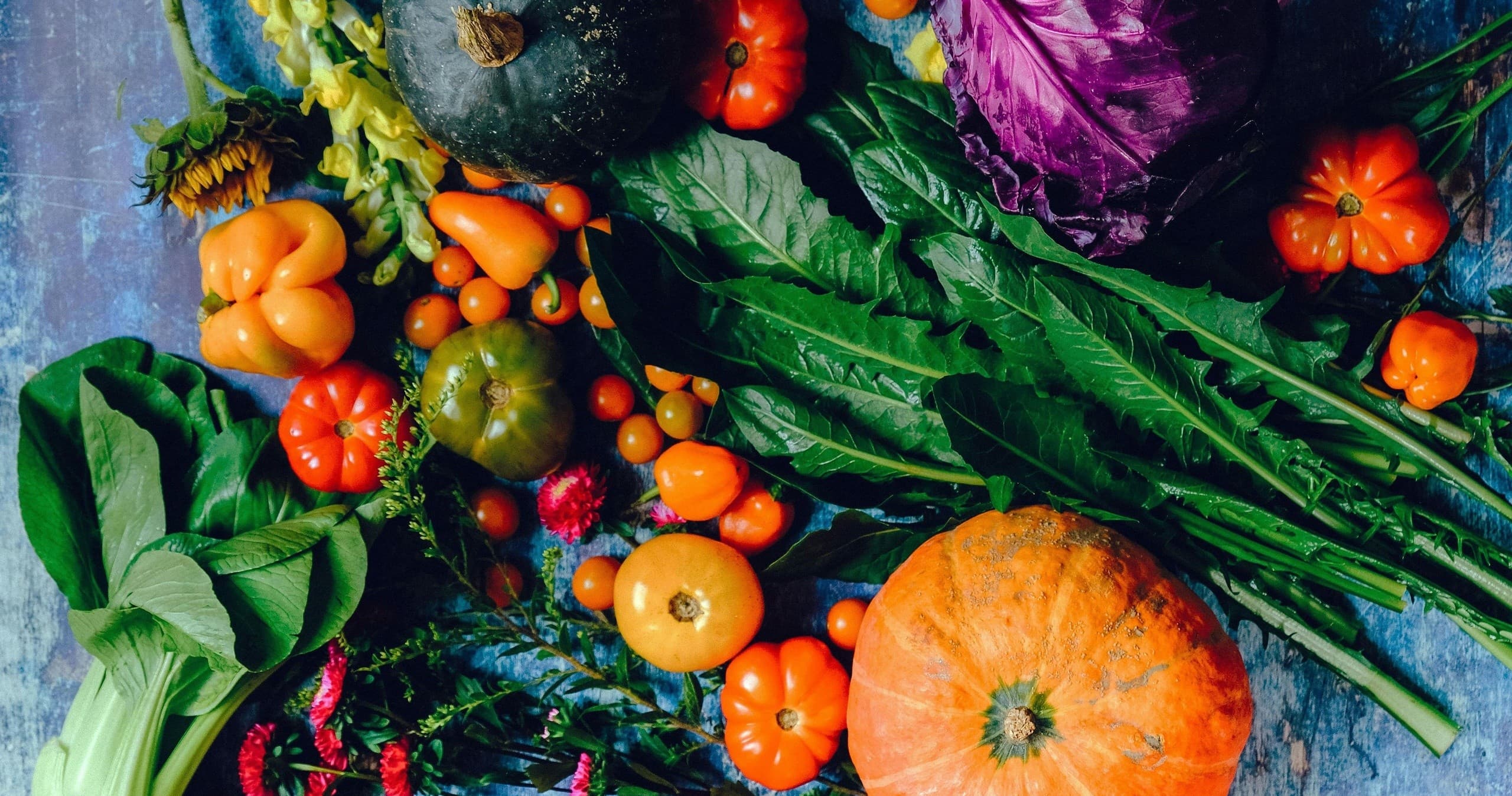Farm to Boat: Scenic Dining Cruise in Jefferson, NJ