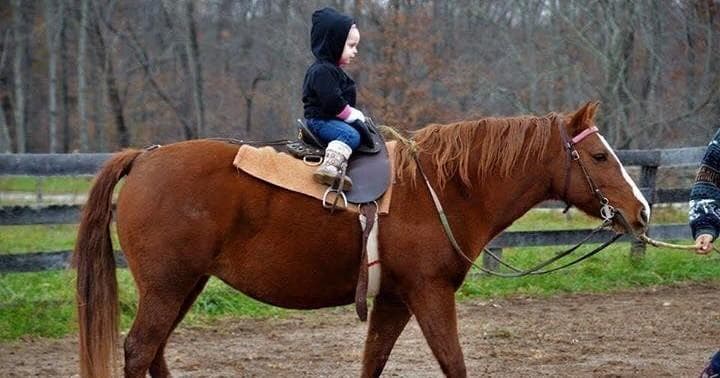 Pony Time in New Plymouth Ohio: Perfect Toddler Horse Rides