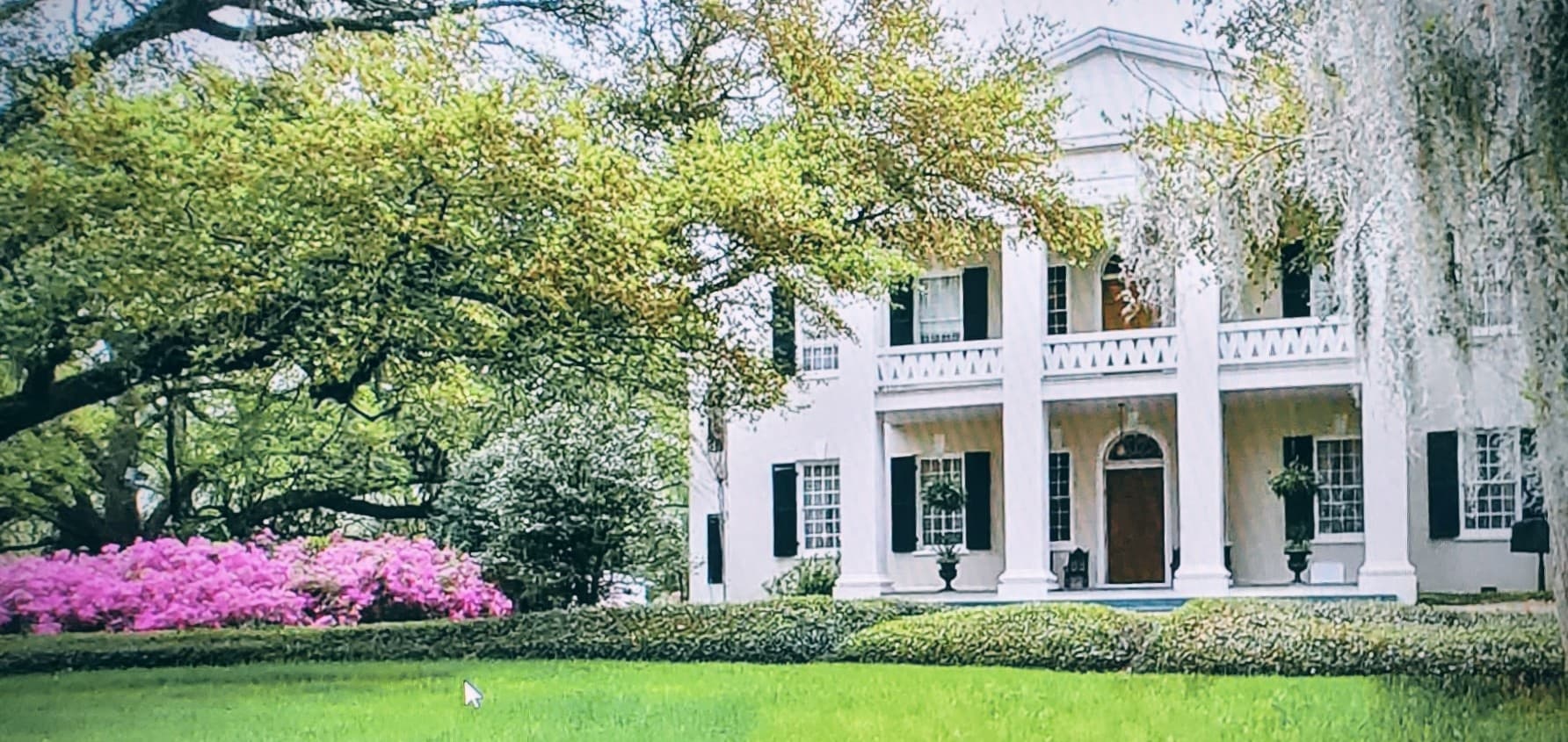 Inside Natchez: Four-House Package Tour of Monmouth, Longwood, Stanton Hall, and Rosalie