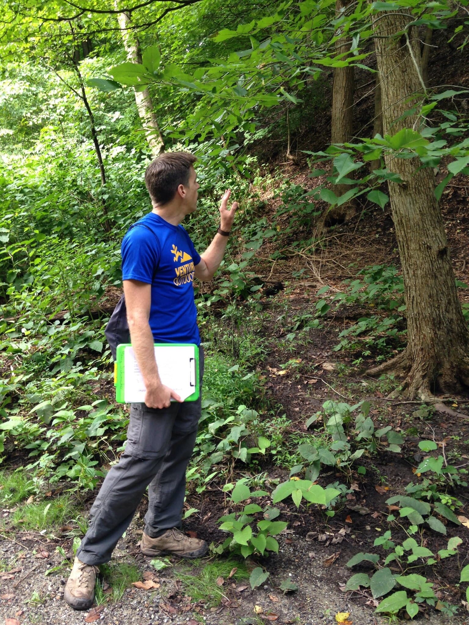 Tree ID Walk in Frick Park: Learn Botany with Botanist Henry Schumacher