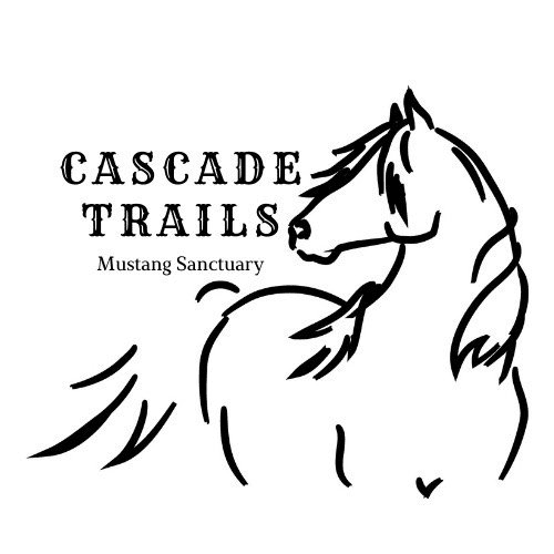 Moonlight Ride at Cascade Trails: Full-Moon Horseback in Joshua Tree photo 1