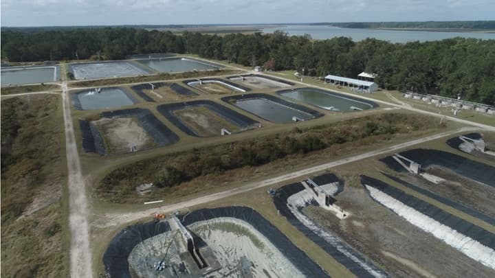 Water Activities & Waddell Mariculture Center Tour in Bluffton