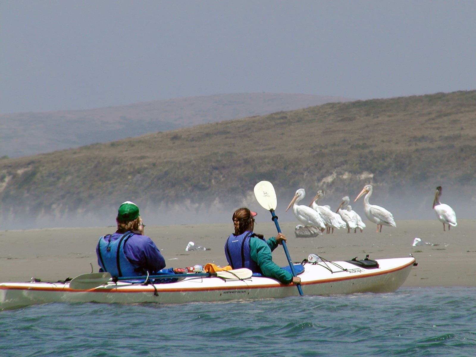 Paddle Drakes Estero: Full-Day Kayak Tour from Inverness, CA