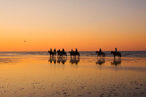 Discover St Andrews Beach on a Private Early Bird Horseback Ride