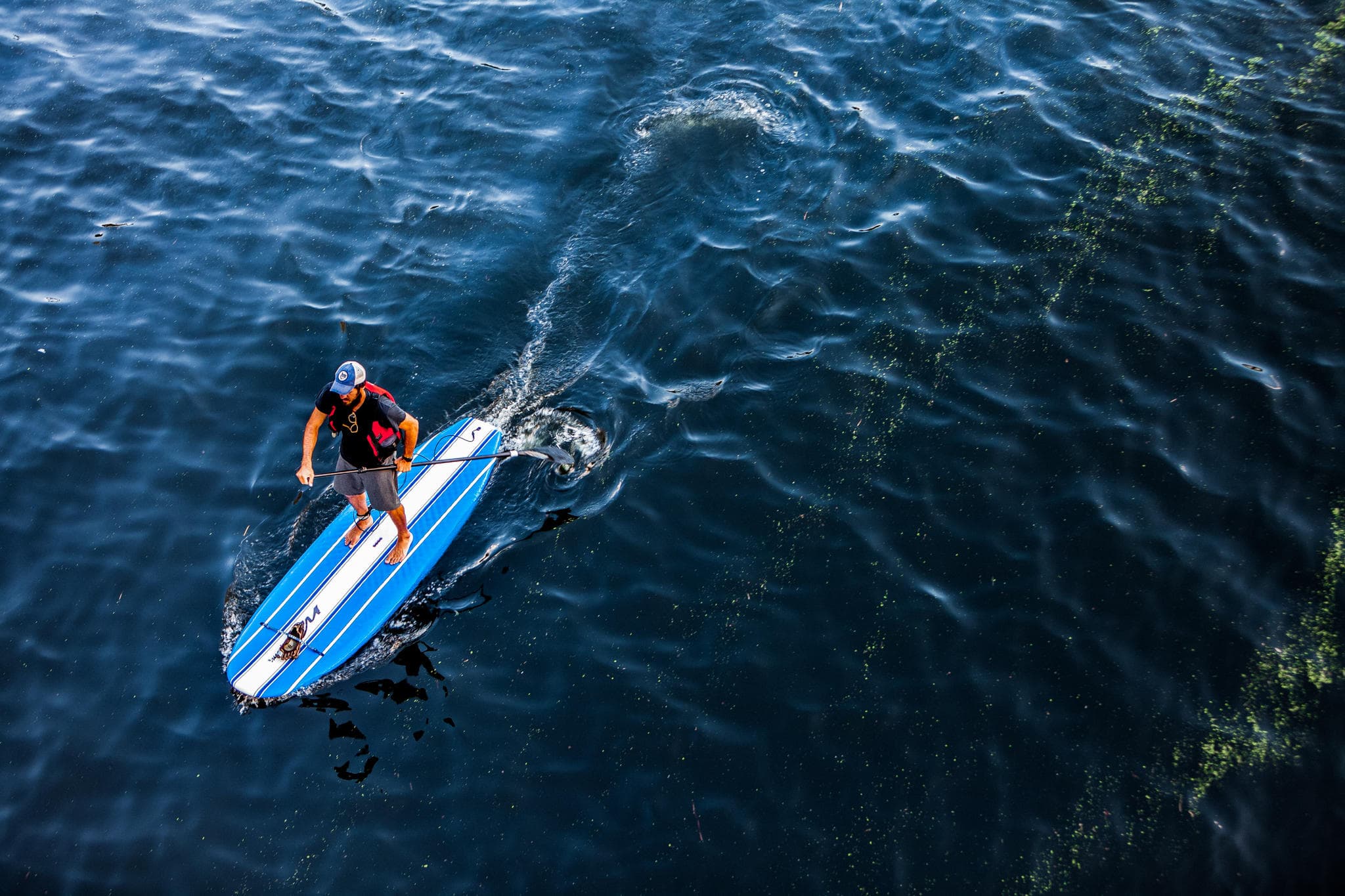 Stand Up Paddleboarding on Keuka Lake at Champlin Beach