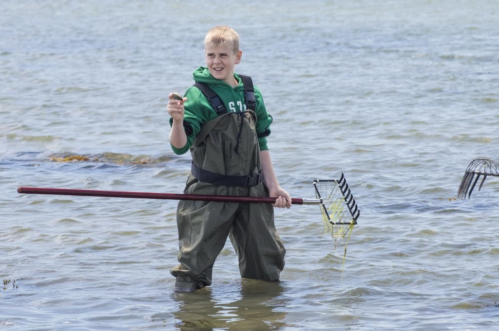 Water Activities & Buzzards Bay Coalition's Shellfishing Adventure