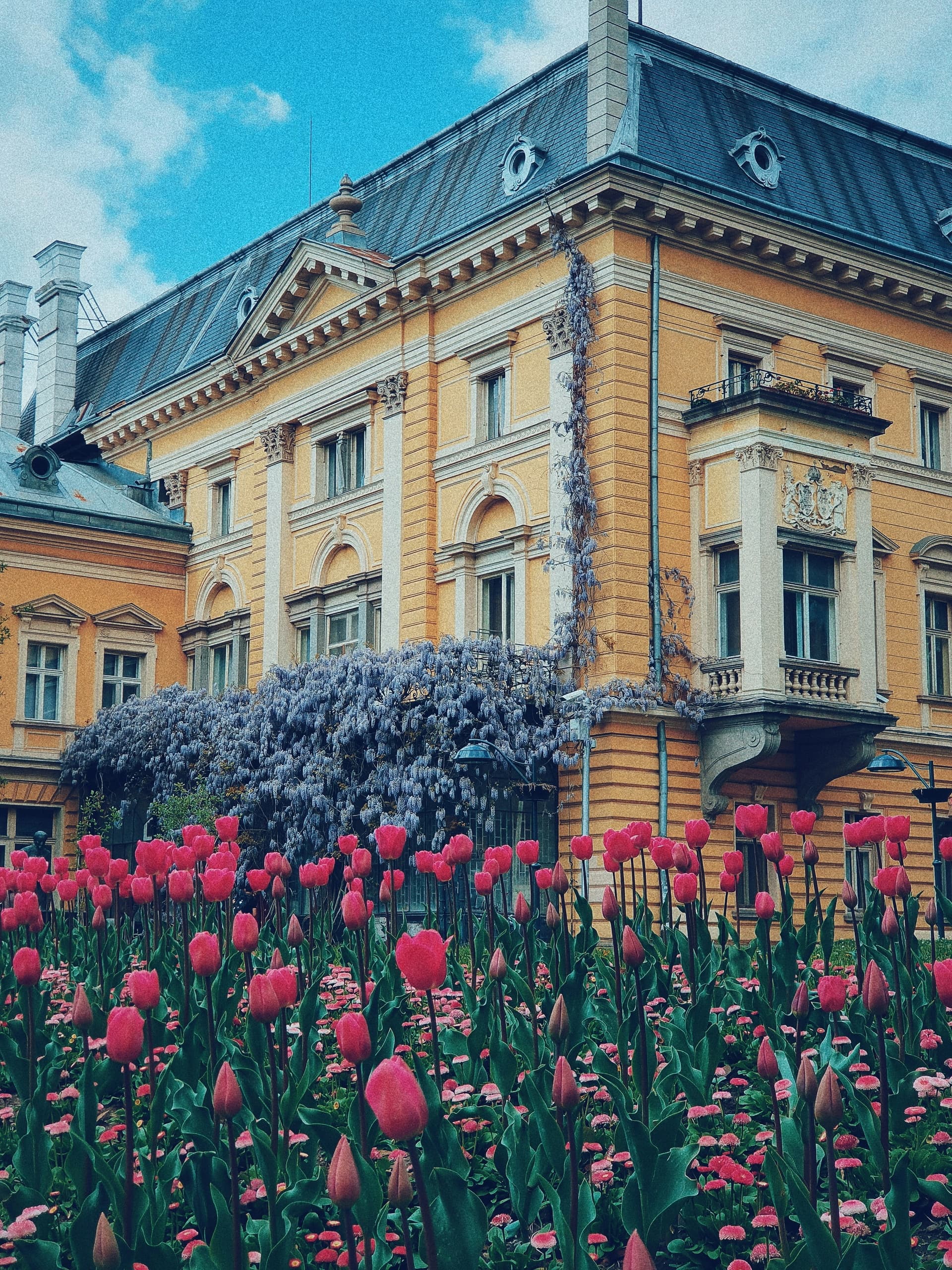 Cultural & Historical Tour of Sofia with V Travel Ltd