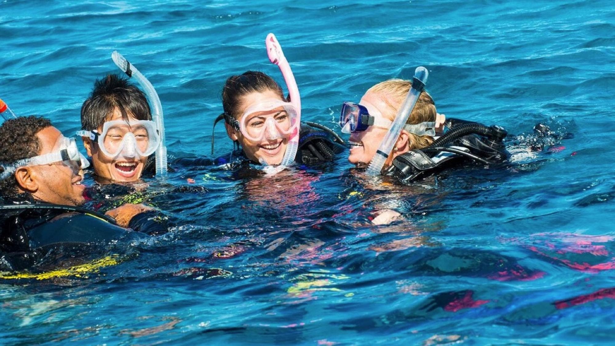PADI Assistant Instructor Training at Hawaii Dive Center