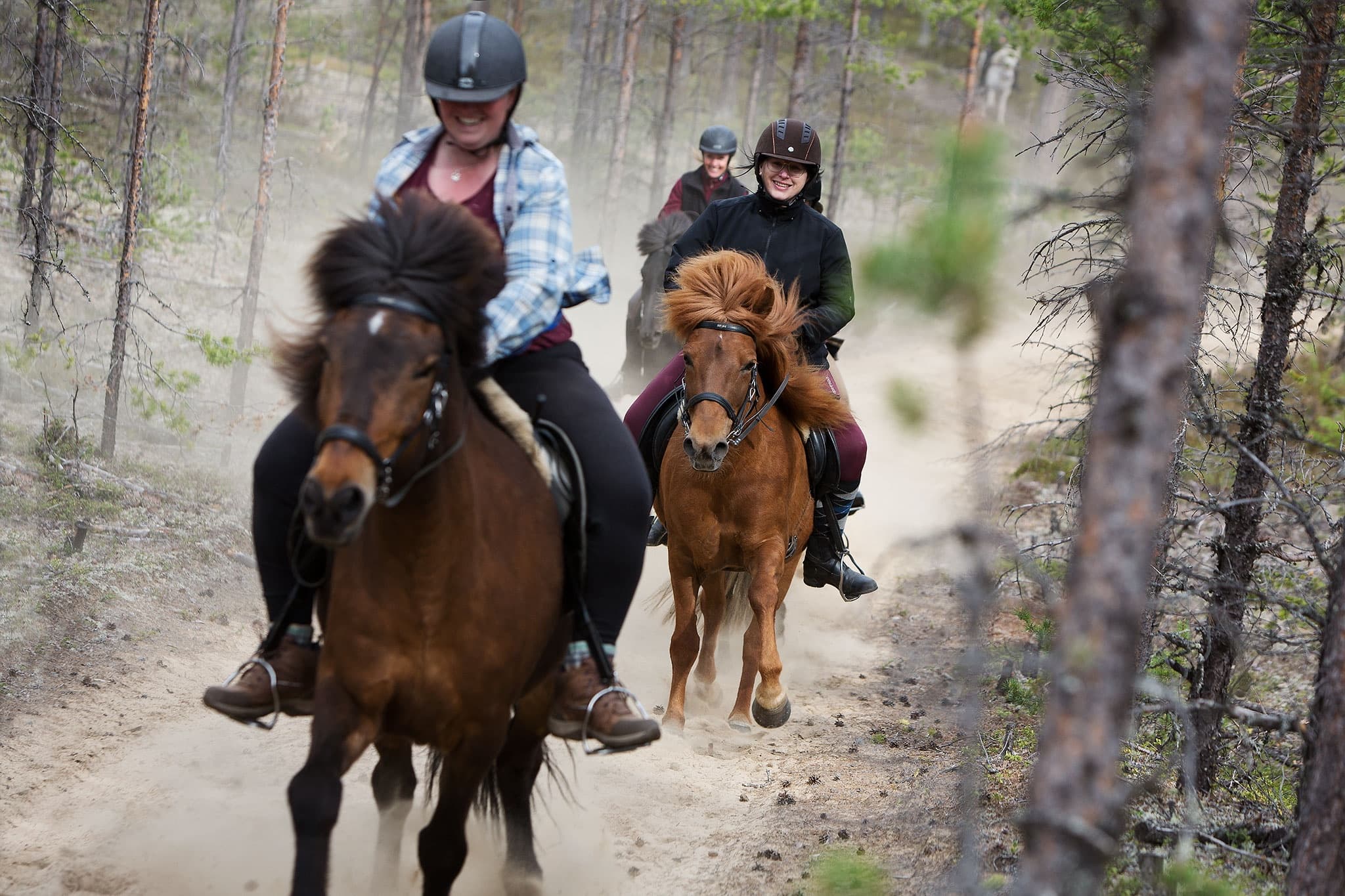 Horseback Adventure with Horses of Taiga in Taiga Forest