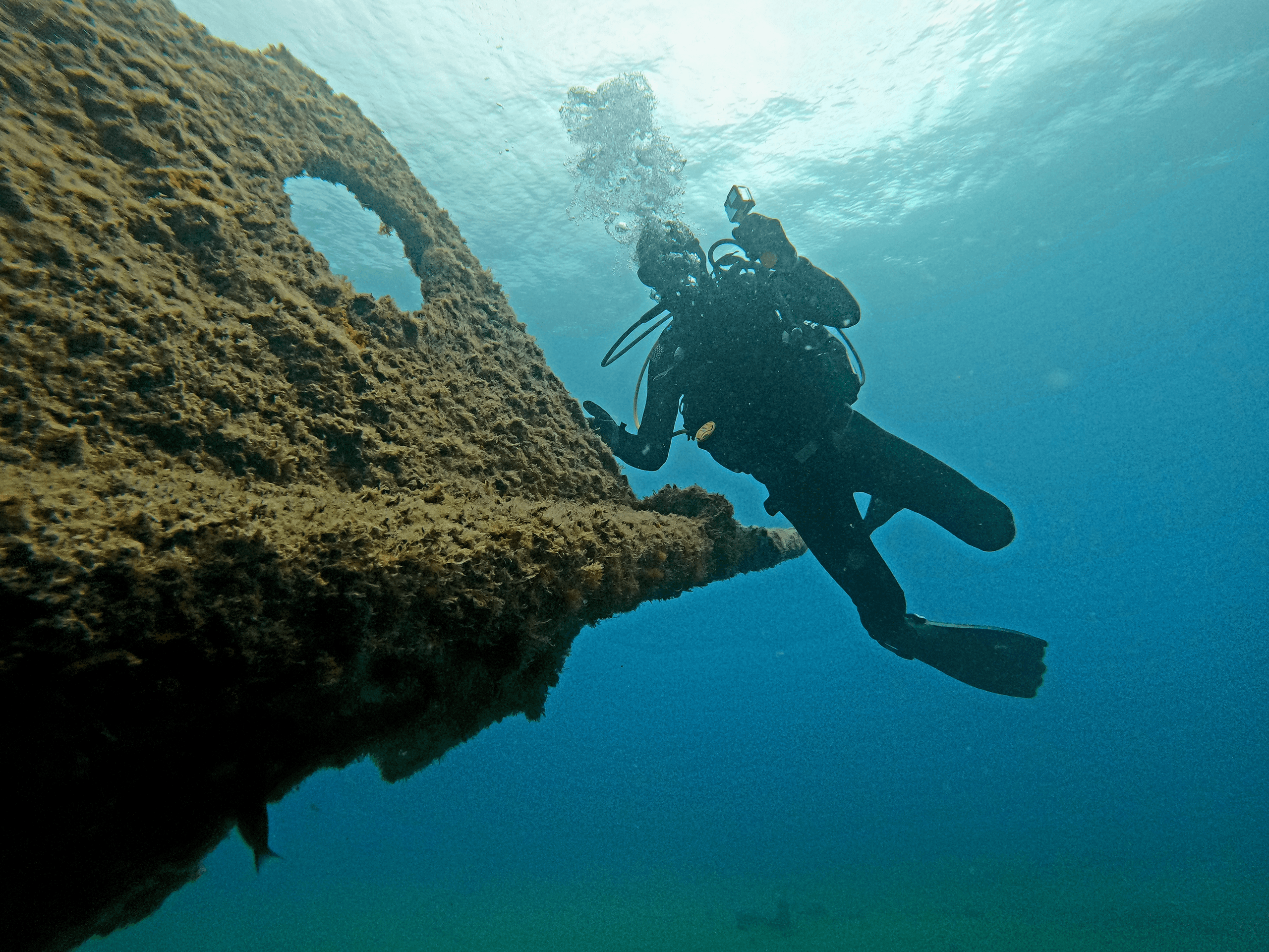 Diving Adventure with Scubazores Divers in the Azores