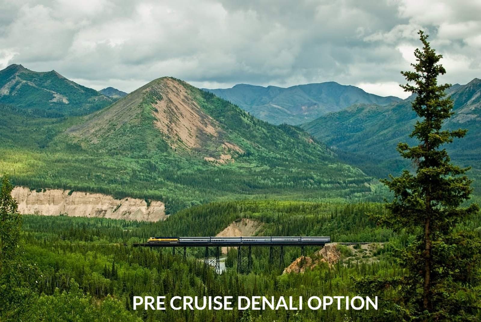 Denali 3-Day Luxury Pre-Cruise: Dome-Car Rail, Wildlife & Lodge Stays