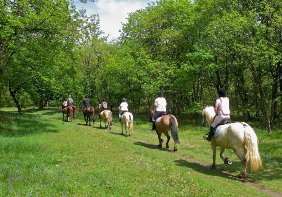 Horseback Riding on the Amalfi Coast with Discovery Guided Tours