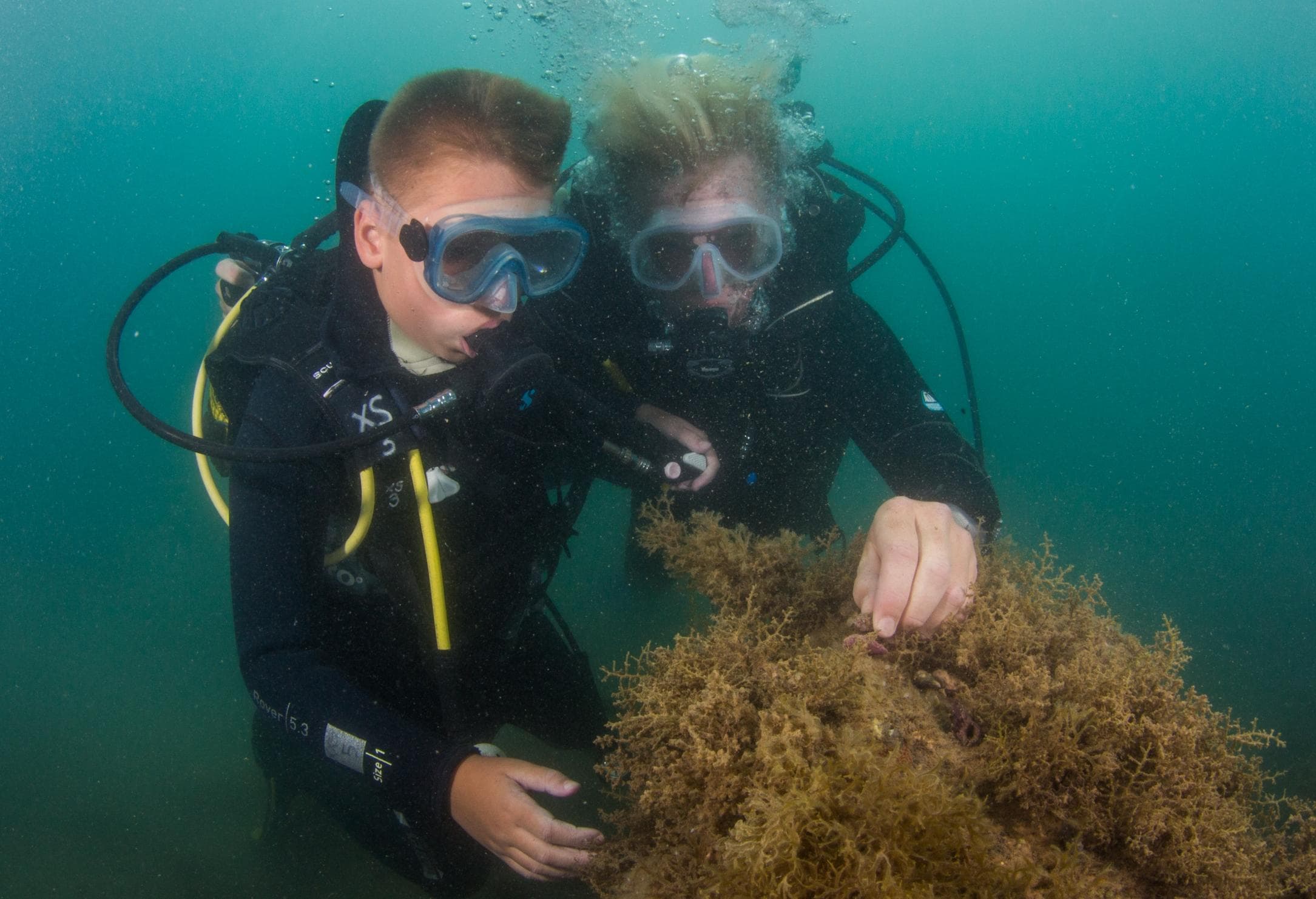 Water Activities & Discover Diving with Scuba Sur in Shoreline