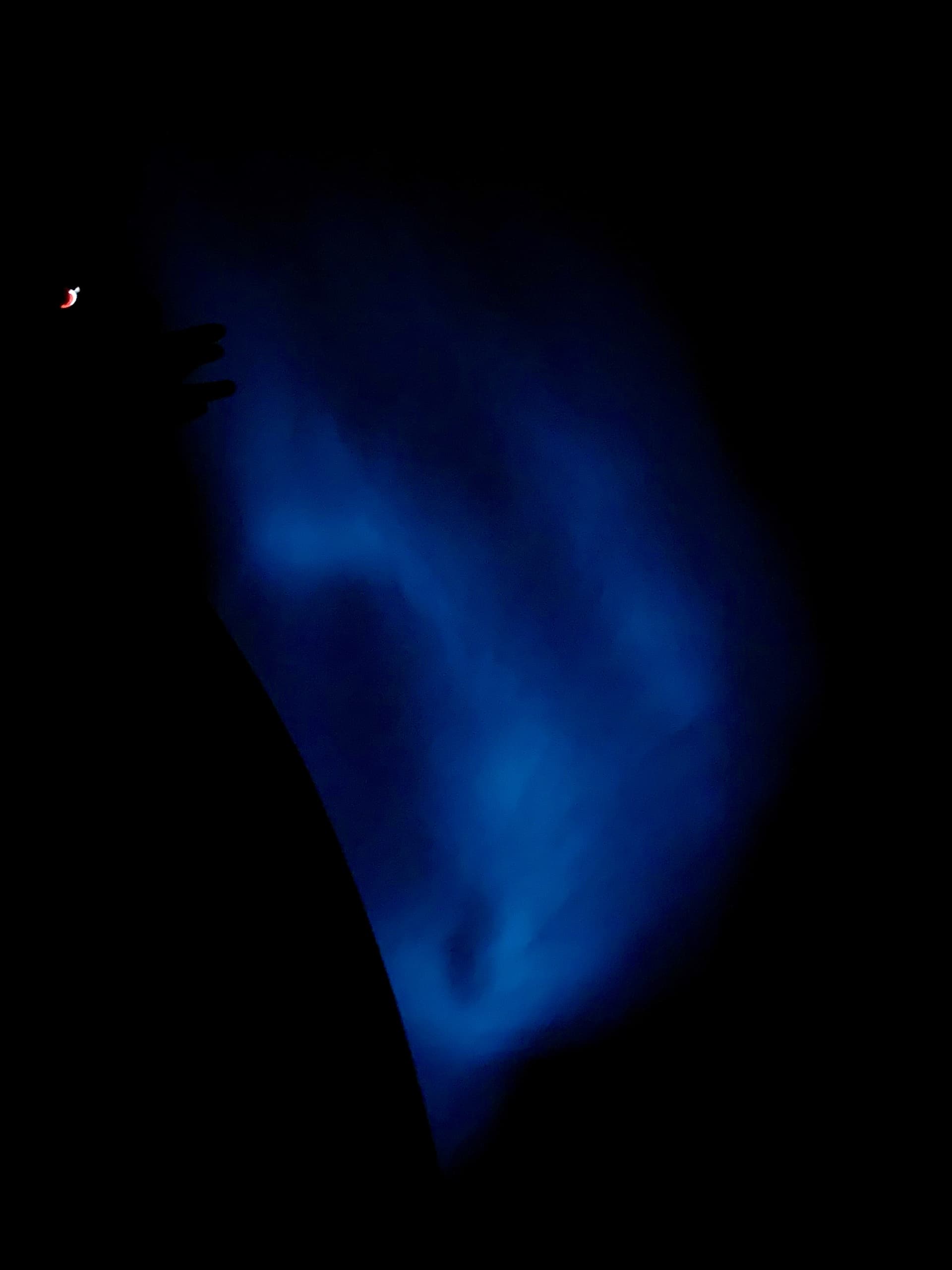 Bioluminescent Bay Kayak, Swim, and Boat Tour | Kayak in Lajas, Puerto Rico
