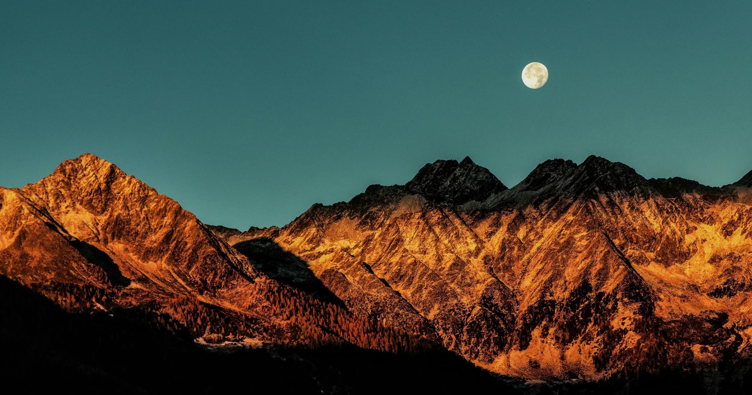 Full Moon Hike in Joshua Tree National Park Experience