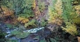 Private Spearfish Canyon Hike in Rapid City, SD