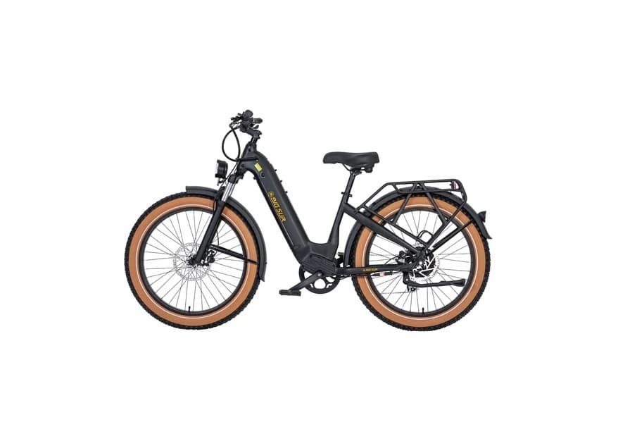 E-bike Adventures in Big Sur with AMIA