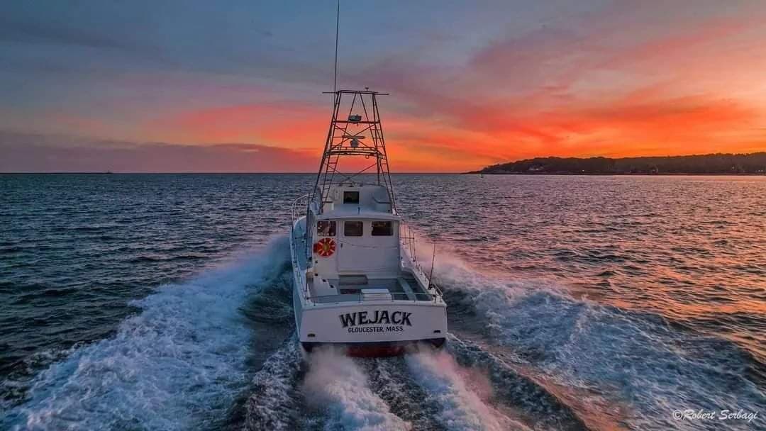 Cruise boat speeding at sunset off Cape Ann, ocean wake