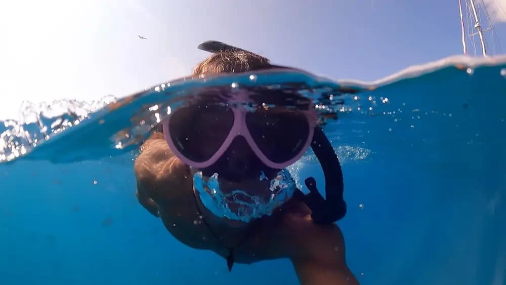 Snorkel With Honu at Turtle Canyon — Waikiki Catamaran Adventure photo 1
